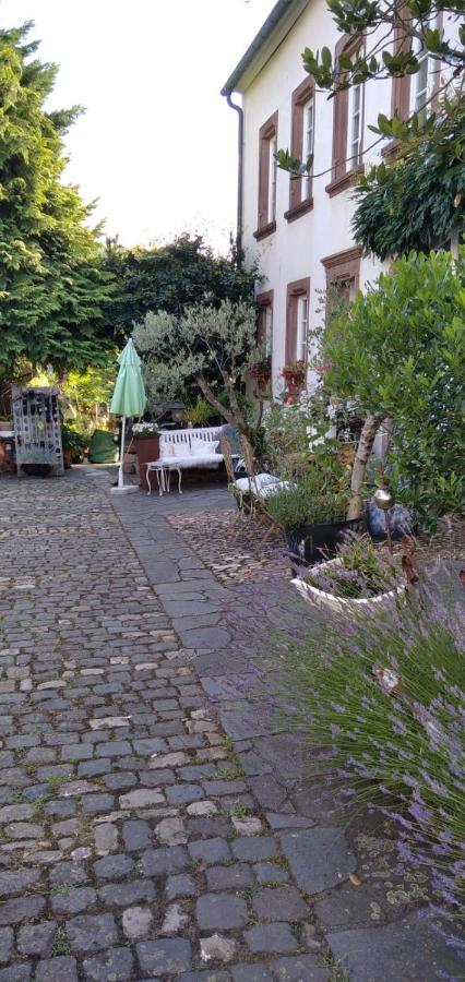 Apartment Altes Winzerhaus Osann-Monzel エクステリア 写真